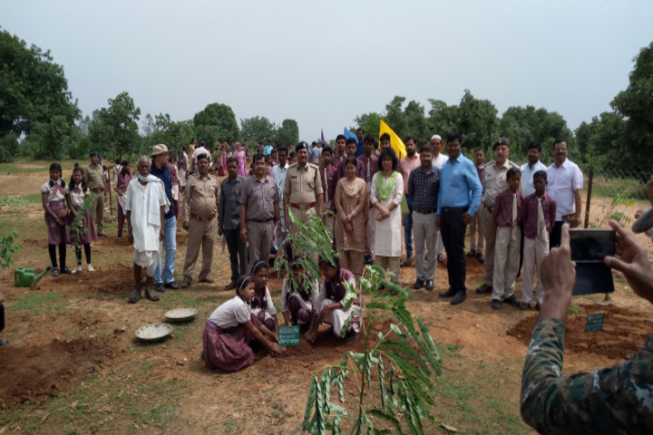 DAV Mukhyamantri Public School-Plantation