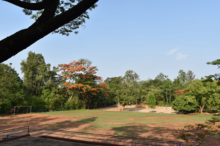 The Valley School-Playground