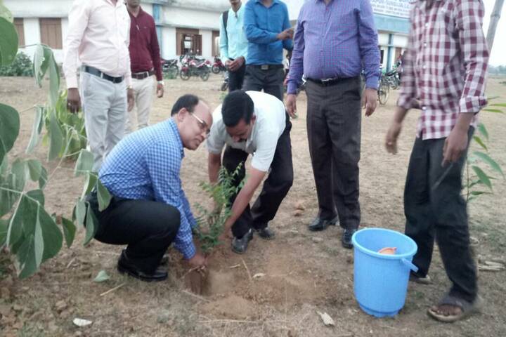 DAV Mukhyamantri Public School-Plantation