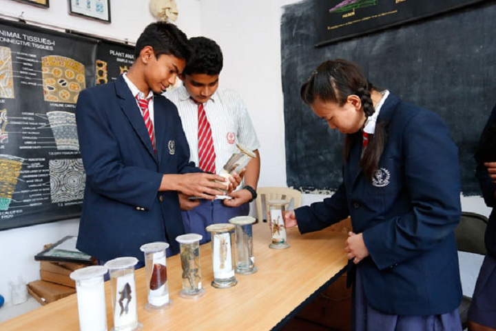 Holy Saint High School-Biology Lab