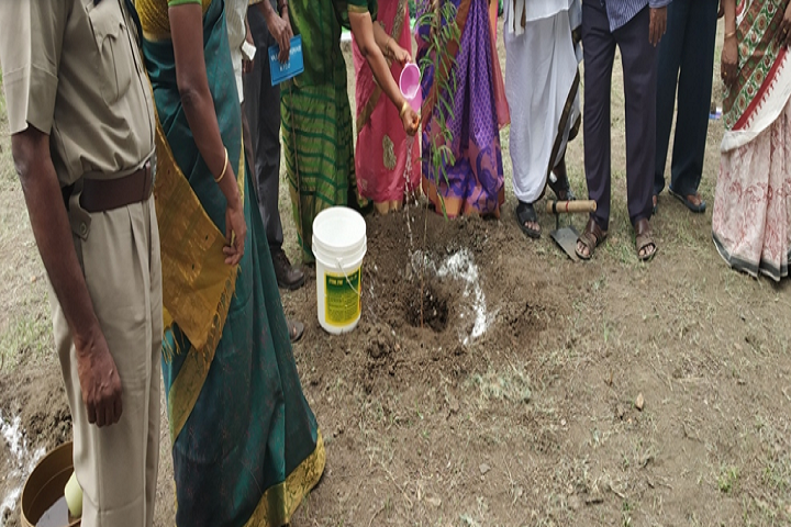 Jawahar Navodaya Vidyalaya-Others plantation