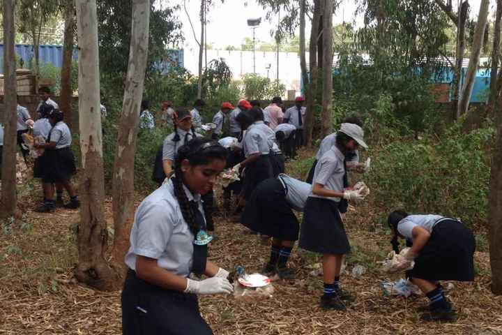 United International School-Clean And Green