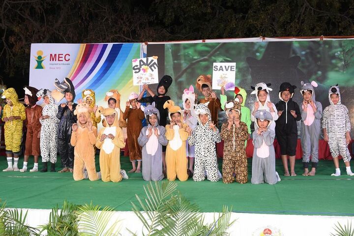 M. E. C. Public School-Fancy Dress