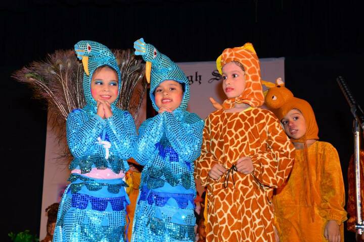 The Scholar High School-Fancy Dress