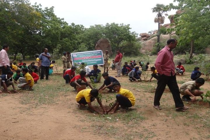 Jawahar Navodaya Vidyalaya - Plantation