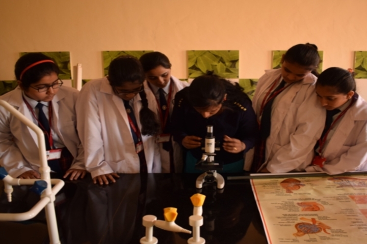 St Mathews Academy-Biology Lab