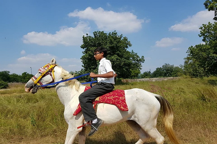 Delhi Public School-Horse Riding