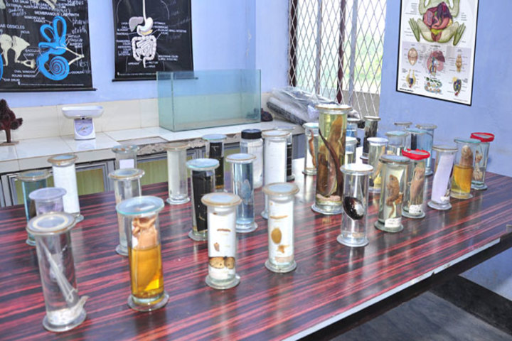Delhi Public School-Lab