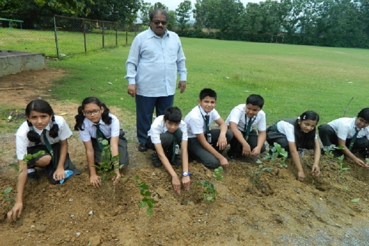 Delhi Public School-Plantation