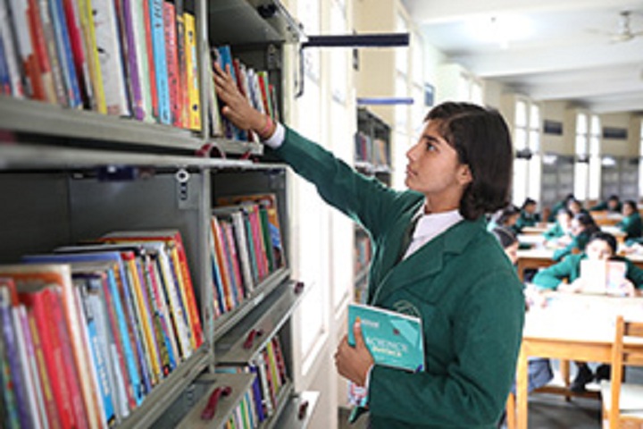 Delhi Public School-Library