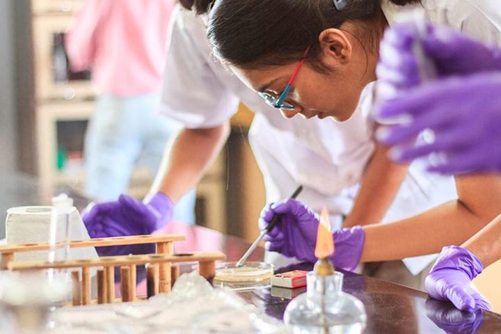 Avalon Heights International School-Chemistry Lab