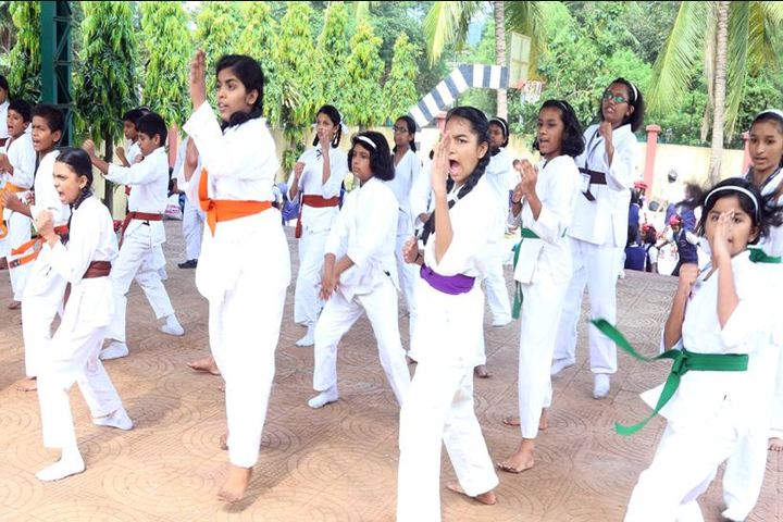 Presentation Convent School-Karate