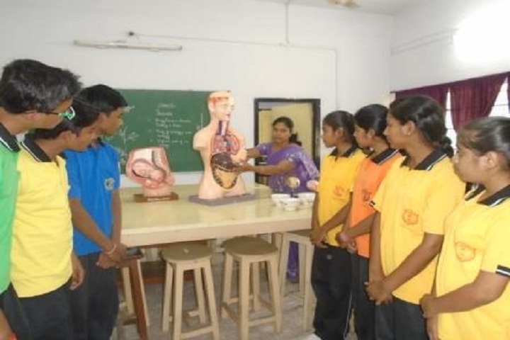 Delhi Public School-Biology Lab