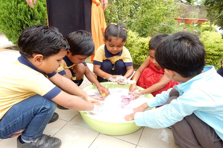 Disha College Of Higher Secondary Studies - Toy wash Activity