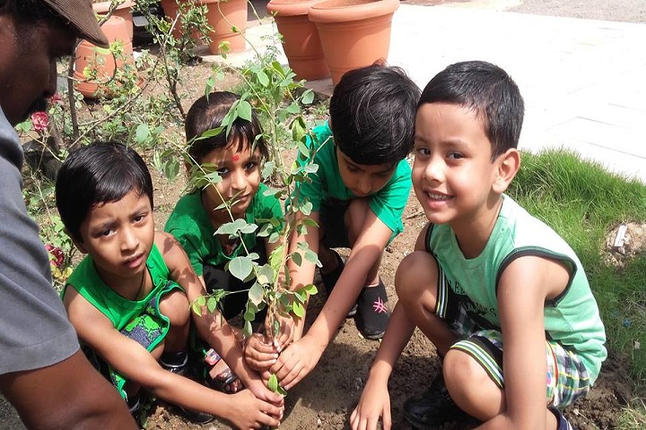 Disha College Of Higher Secondary Studies - plantation