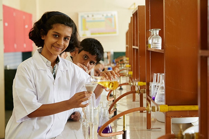 Tree House High School-Chemsitry lab