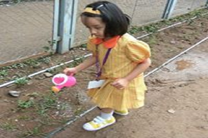 Wisdom World School-Plantations