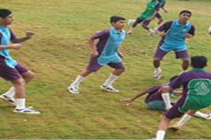 Wisdom World School-Playground