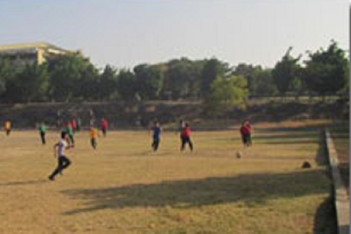 D Y Patil International School-Foot ball courts