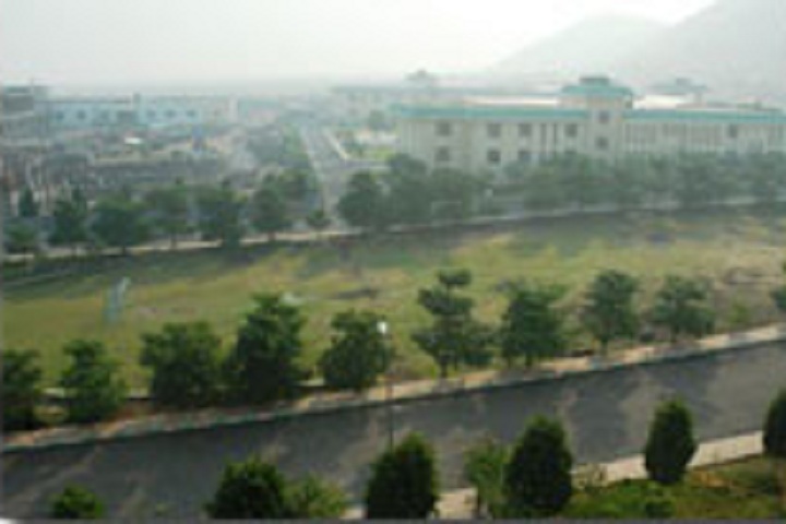 D Y Patil International School-School overview