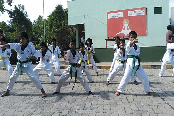 Aklavya International School - karate