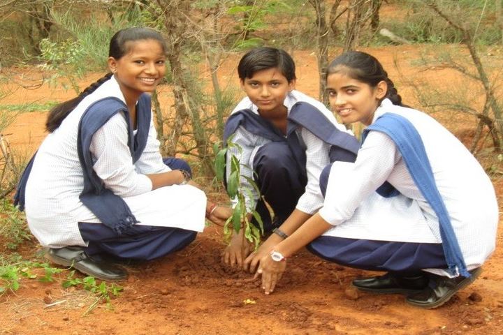 Jawahar Navodaya Vidyalaya - Plantation