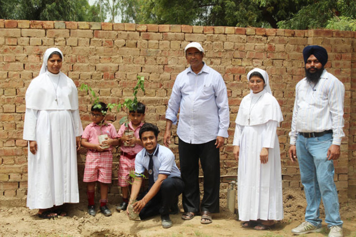 Little Flower Convent School - Tree Planting