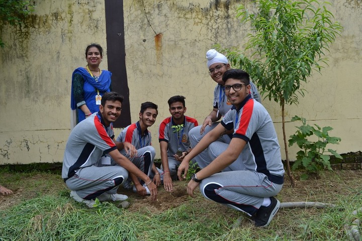 Holy Heart Presidency School-Tree Planting
