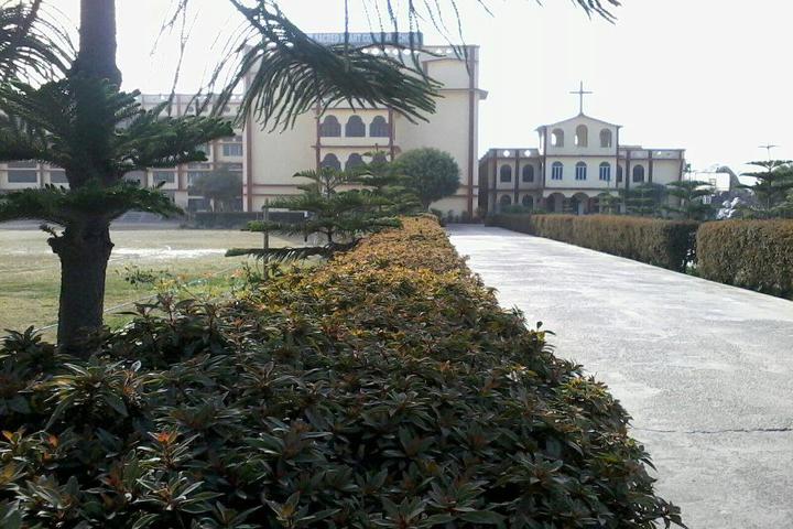 Sacred Heart Convent School-Garden