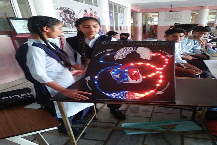 Sant Baba Gurmukh Singh International School-Science exhibition