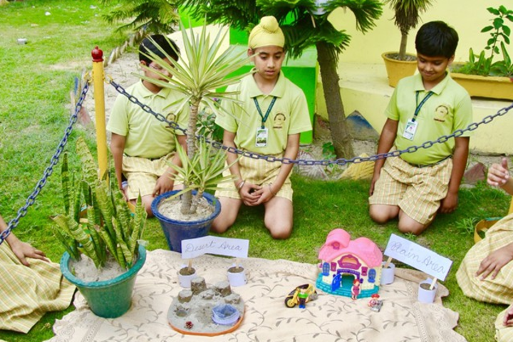 Carol Convent School-Activity Day