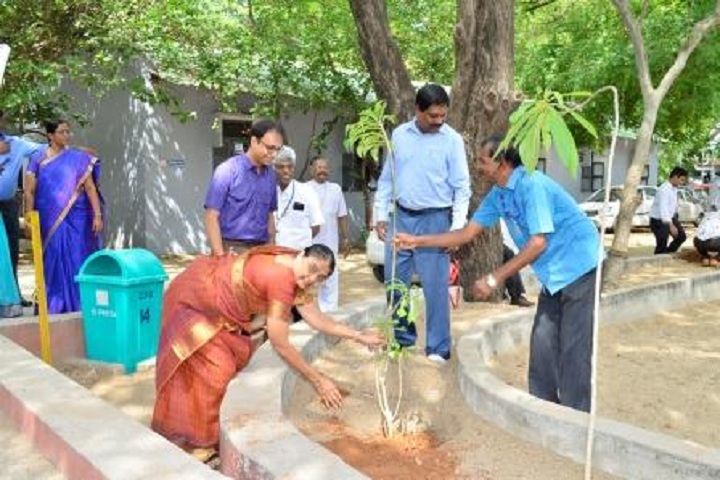Ida Scudder School-Tree Plantation
