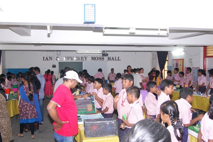 The Vikasa School-Science Day