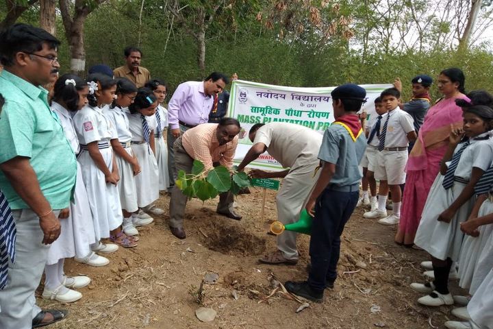 Jawahar Navodaya Vidyalaya-Planting Tree