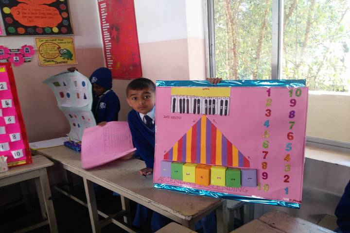 Crescent Castle Public School-Science Exhibition