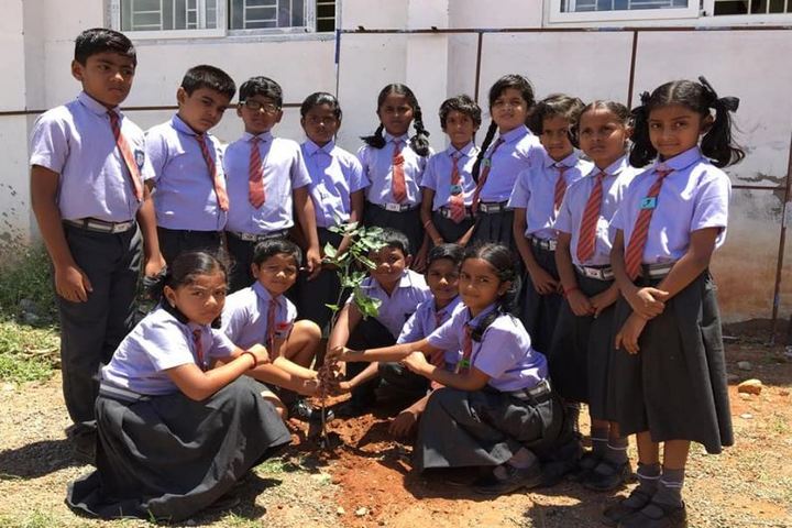 M G V Global Academy-Plantation