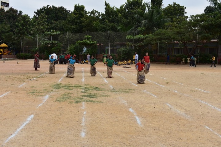 Sherwood Public School-Play Ground