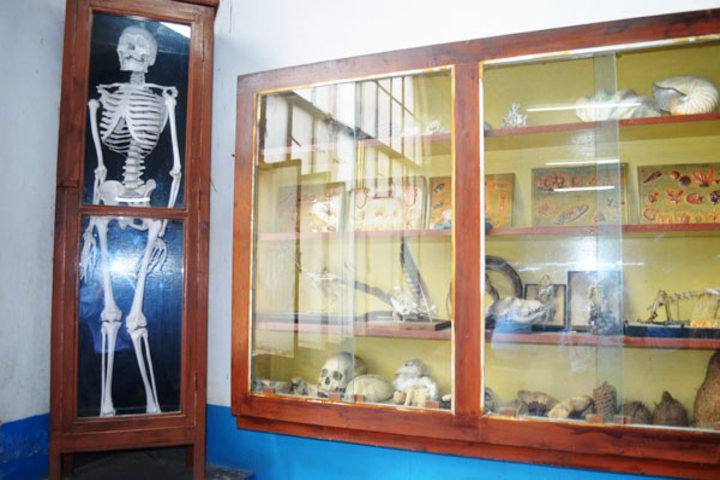St Joseph S College-Biology Lab