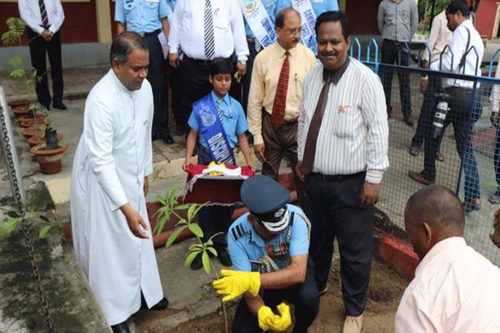 St Joseph S College-Tree Plantation