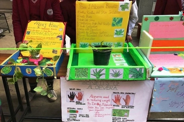 St Paul S Academy-Science Exhibition