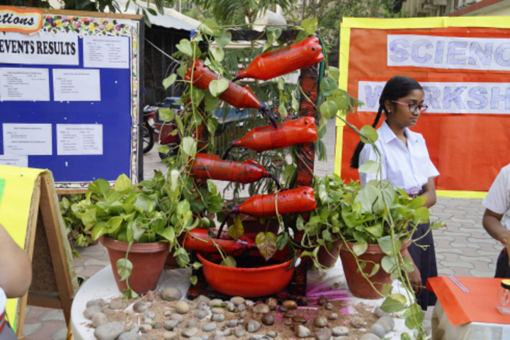 Sheiling House School-Science Exhibition