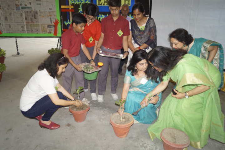 Sheiling House School-Tree Plantation