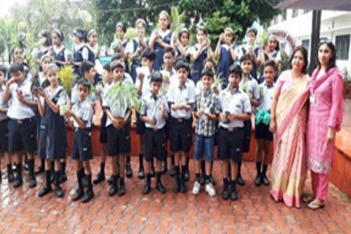 City Montessori Inter College-Plantation