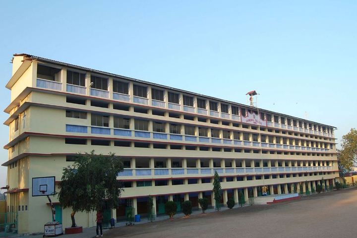 Cathedral College-Campus