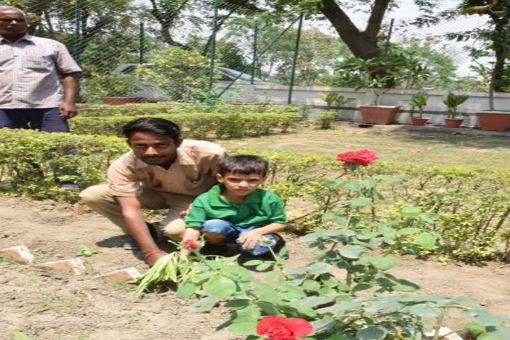 Metropolitan School-Tree Plantation