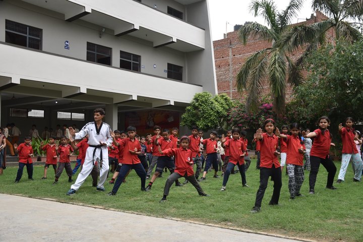 Smt Jaidevi Memorial Public School-Karate