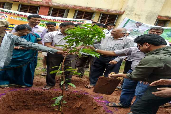 Jawahar Navodaya Vidyalaya - Plantation