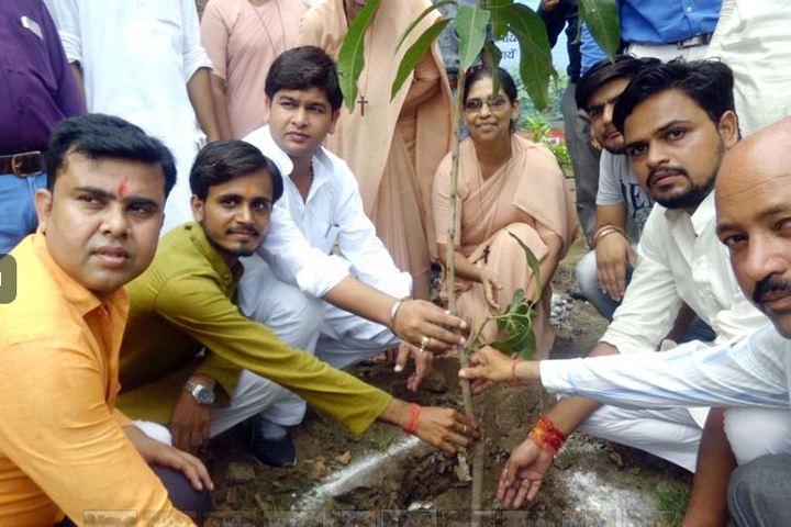 Holy Angels School-Tree Plantation