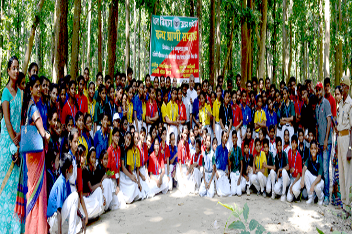 Little Flower School-Activity Team