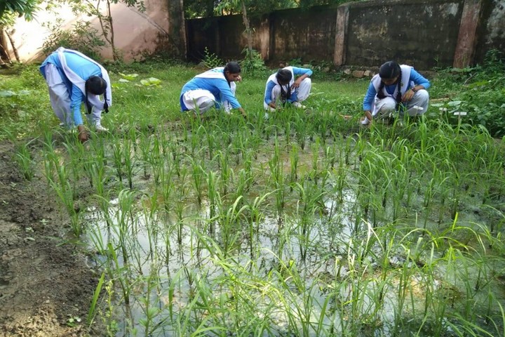 Govt Girls Higher Sec School Raipur-World Environment Day